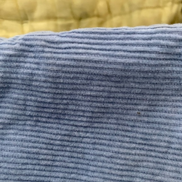 Grapevines Powder Blue Corduroy Shorts - Picture 3 of 3